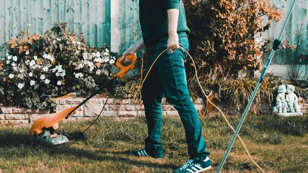 Time to Clean Up Your Yard?