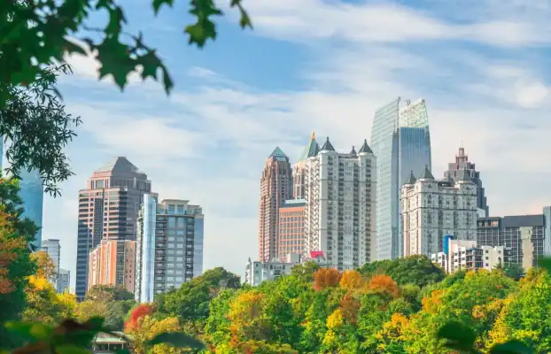 Jiffy Junk to Help Restore Georgia Forests with Tree-Planting Partnership